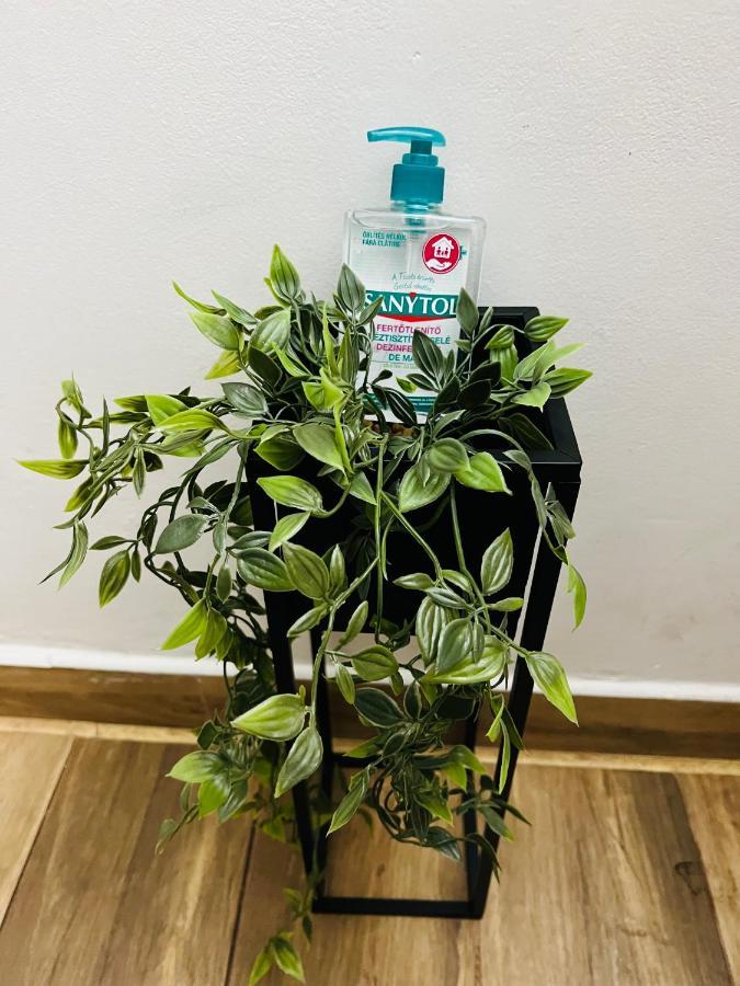 Appartement Altheda Living Tineretului E8 à Suceava Extérieur photo